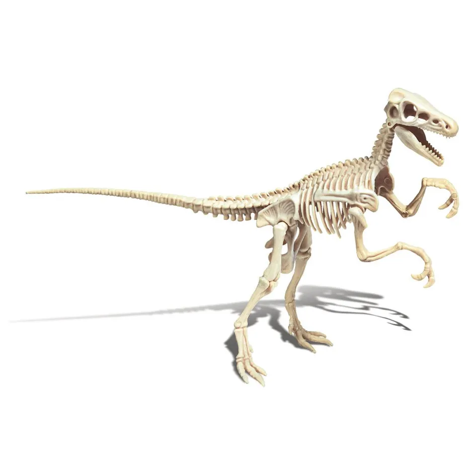 Archéo Ludic Vélociraptor^Clementoni Best