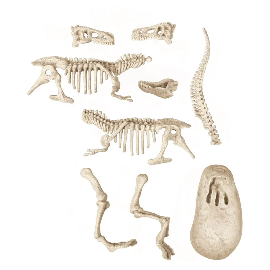 Archéo Ludic Vélociraptor^Clementoni Best