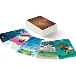 Dixit Extension Mirrors^Asmodu00e9e Hot