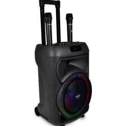 Enceinte 300 watts sans fil^Bontempi
