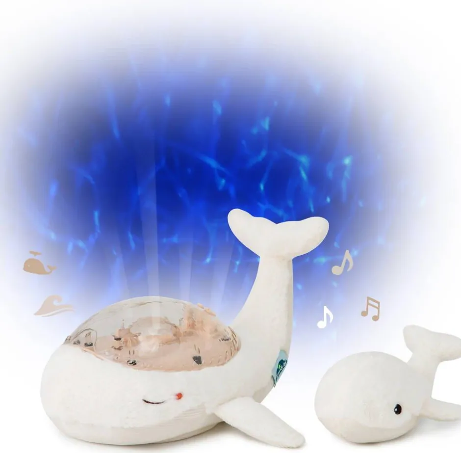 Famille de Baleines tranquilles blanches -^Cloud b New