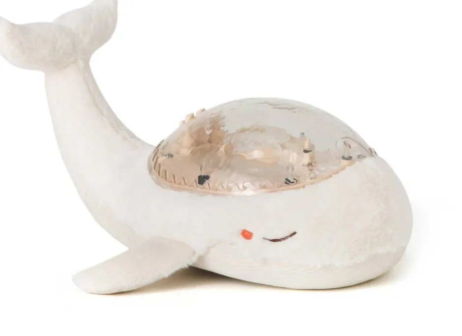 Famille de Baleines tranquilles blanches -^Cloud b New