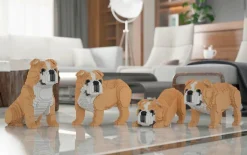 Jecka Blocs De Construction - Chien Bulldog Anglais 4 En 1 Beige Standard^Jekca Best