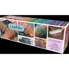 Loopdedoo - La fabrique de bracelets d'amitié^Goliath Clearance