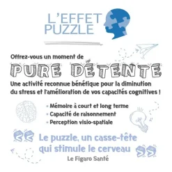 Puzzle 1000 pièces Les albums d'Astérix - Collection Mes héros^Nathan New