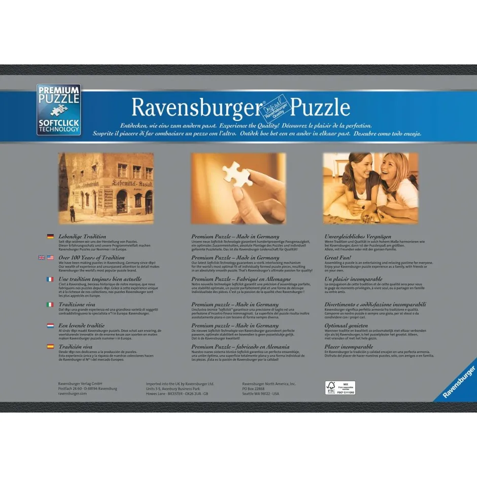 Puzzle 9000 pièces Forêt magique et dragons^Ravensburger Discount
