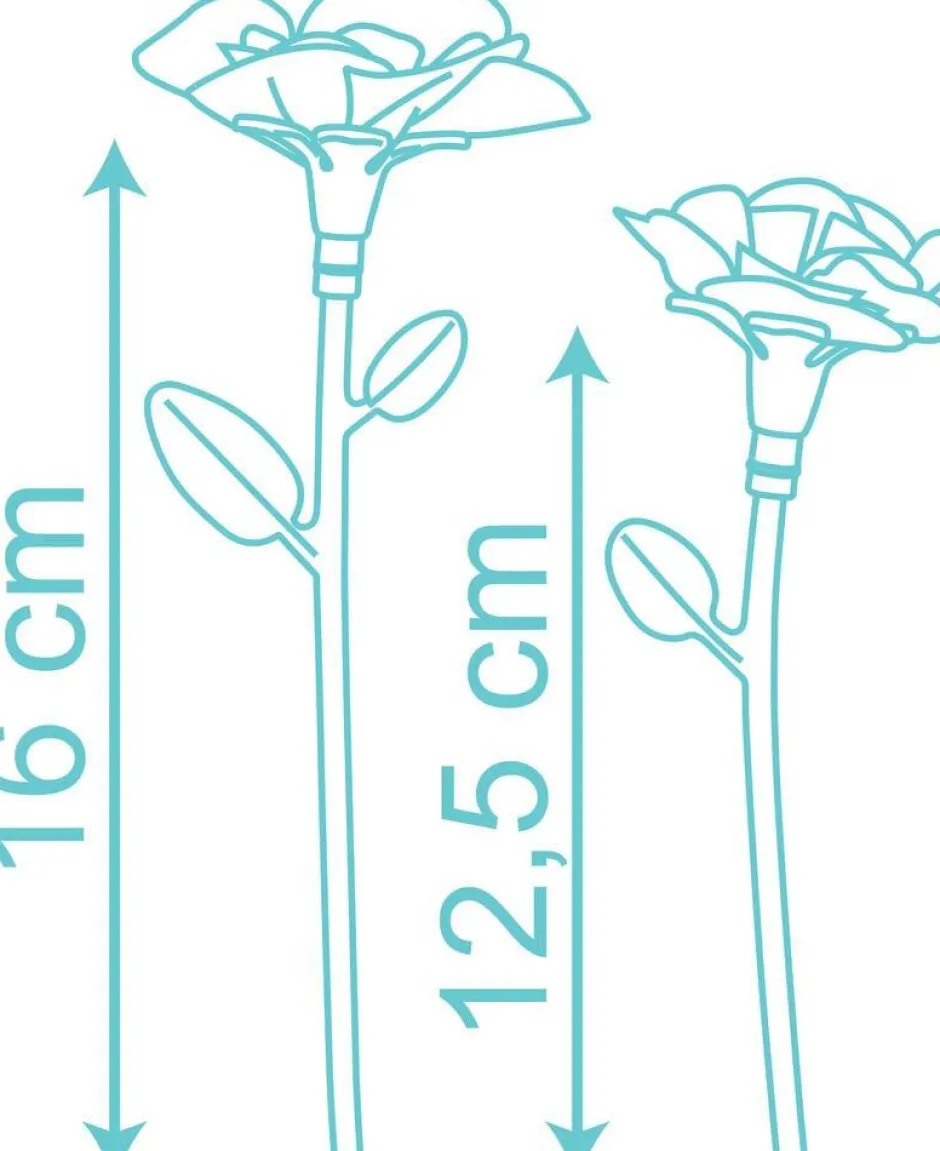 Set De Fleurs^Smoby Online
